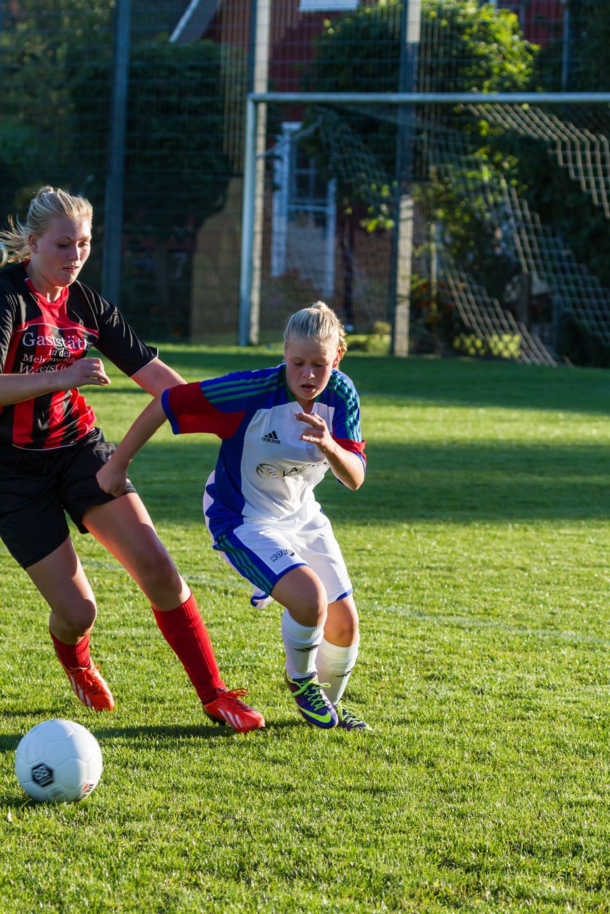 Bild 213 - B-Juniorinnen SG Wilstermarsch - SV Henstedt Ulzburg : Ergebnis: 5:1